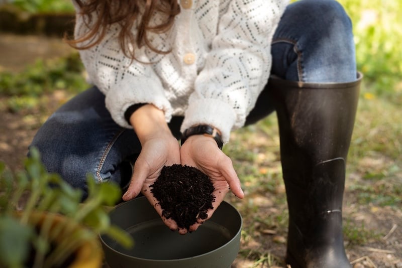Sustainable fashion DIYs